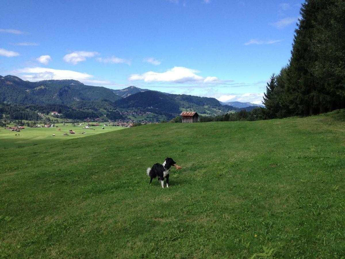 Tiefenbach bei Oberstdorf Geigers Ferienhaus מראה חיצוני תמונה