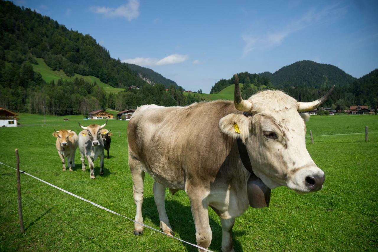 Tiefenbach bei Oberstdorf Geigers Ferienhaus מראה חיצוני תמונה